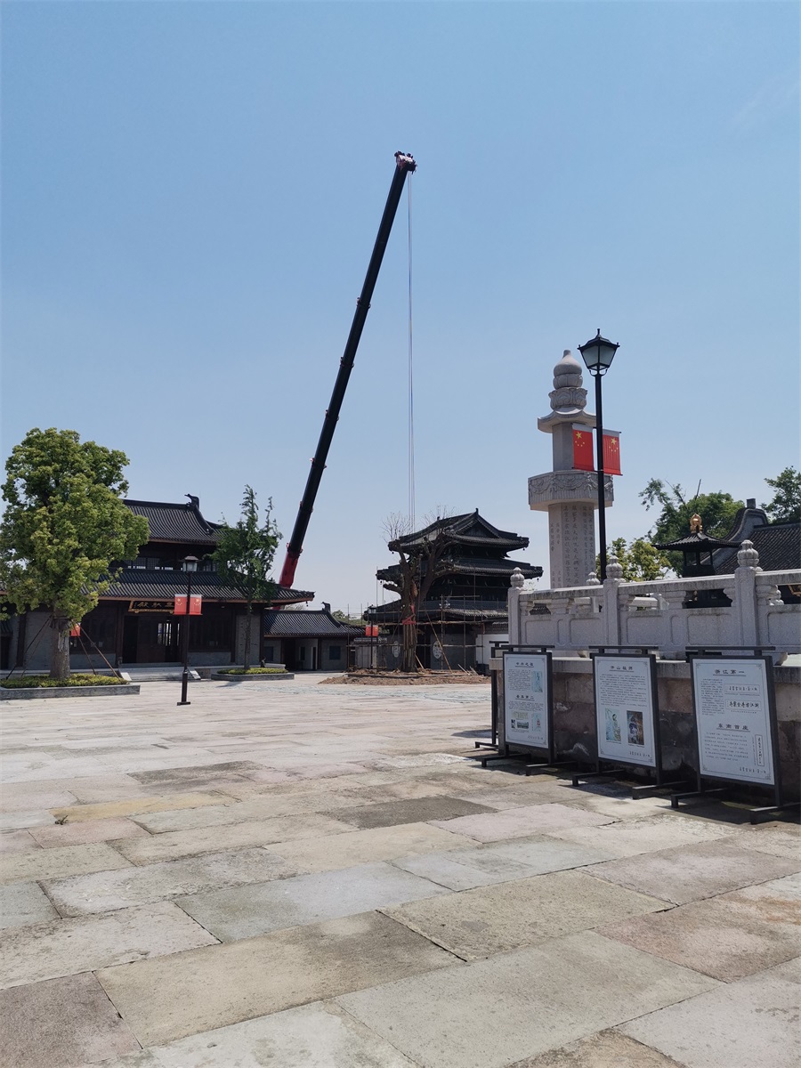 金栗寺
